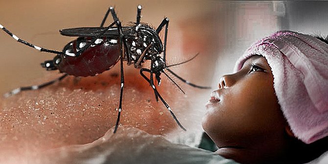 Kenali Gejala Demam Berdarah Pada Anak Dibawah Umur