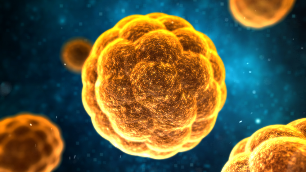 Hepatitis A Belum Ada Vaksinnya Hingga Saat Ini